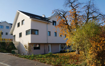 Wohnüberbauung «Brunnenwis», Hüttikon