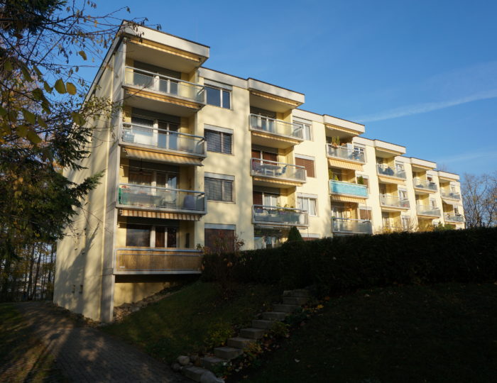 Mehrfamilienhaus Adlibogenstrasse, Niederhasli