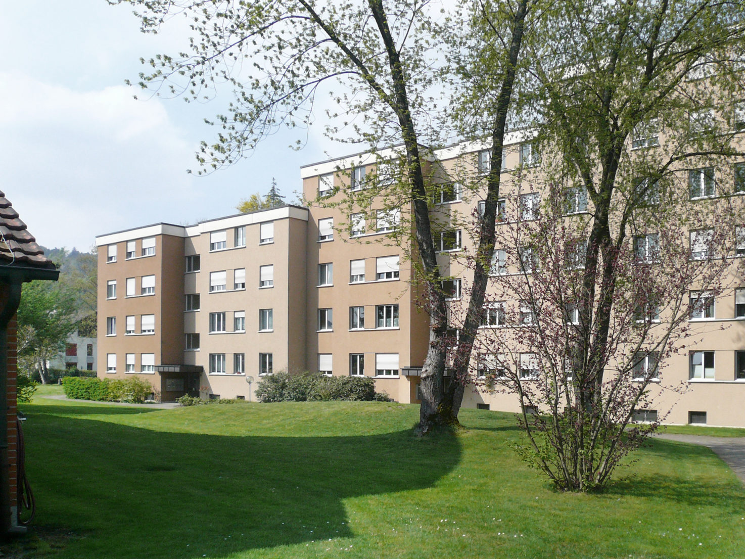 Sanierung Adlikerstrasse, Regensdorf