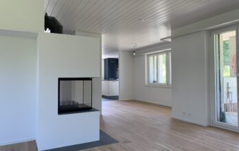 Einfamilienhaus Hafnergasse Stadel