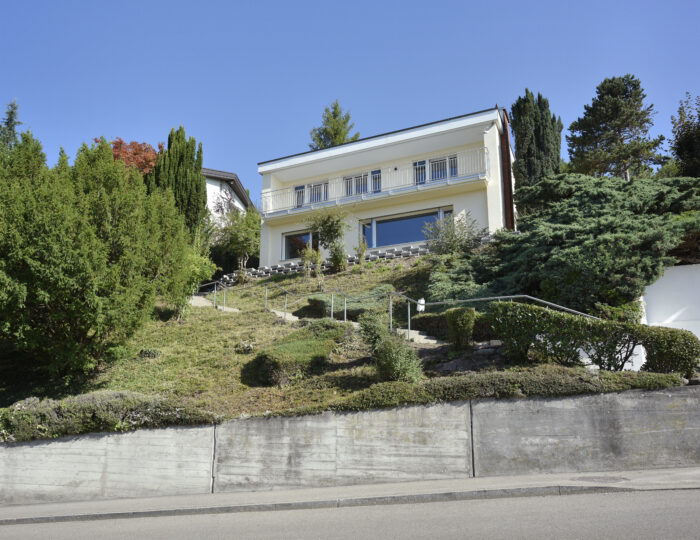 Einfamilienhaus Rainstrasse, Unterengstringen